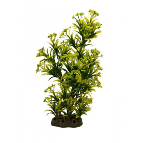 ΔΙΑΚΟΣΜΗΤΙΚΟ ΦΥΤΟ ΕΝΥΔΡΕΙΟΥ 36CM